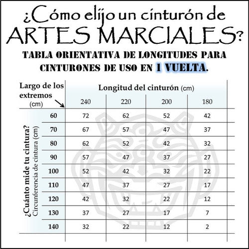 Cinturon Reforzado Para Artes Marciales Sireum 9c/1v 5