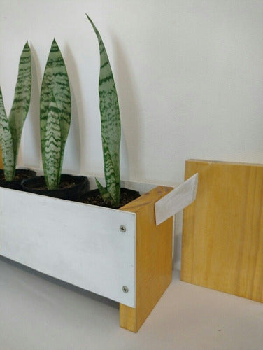 Nordic Style Plant Pot Holder Planter Model Salchiperrito 2