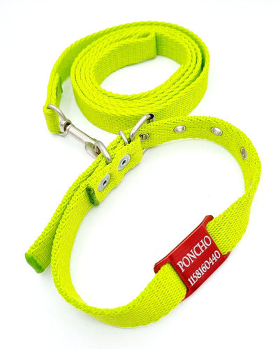 Medallas para perros Red Tag + Green Apple Collar and Leash 2