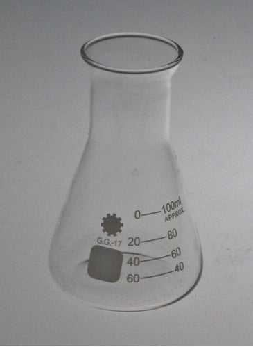 Erlenmeyer De Vidrio X 2000 Ml 3