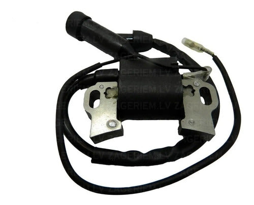 Bobina Modulo De Encendido Para Motor Generador 13 Hp. 0