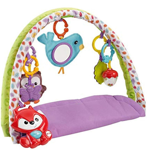 Fisher-Price Musical Activity Gym 3-in-1, Woodland 5