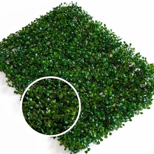 Artificial Grass Synthetic Turf X10 Panel 40x60cm Wall 0