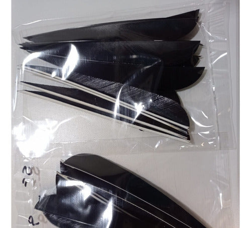 Gateway 4-Inch Parabolic Feathers for Archery 4