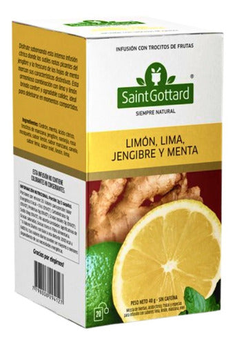 Saint Gottard Ginger, Lemon, Lime, and Mint - 20 Sachets x 2 Units 1