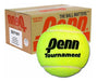 Pelotas Penn Tournament Tenis Padel Pack X 10 | Favio Sport 2