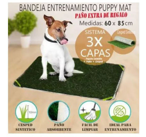 Outdoor Bandeja Sanitaria Mascota Cesped Perro 60 X 85 Enrollable 1