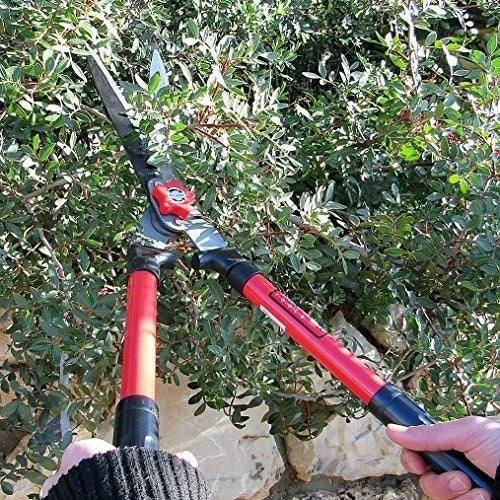 Tabor Tools B620 Hedge Shears for Trimming Edges, Boxwood, and Shrubs 2