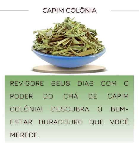 Chá De Capim Colônia-erva Pura De Alta Qualidade 30g 2