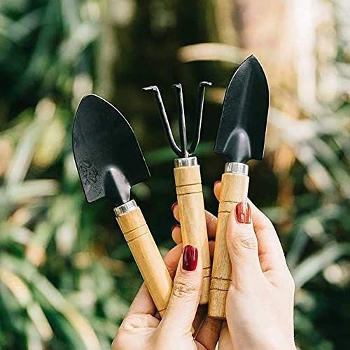 FANCYWOLF Gardening Tool Set (6 Pcs) Spade Shovel Rake For Garden Plants Care 4