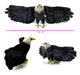 Imported Realistic Plush Eagle !! 2
