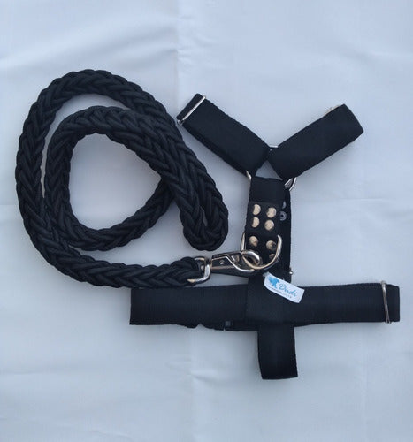 Dudi Mascotas Reinforced Harness for Medium and Large Dogs + Braided Leash 0