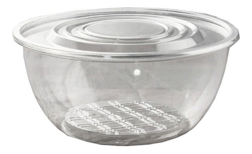 Plastivas Bowl Cristal Y Tapa Plastico Ensalada De Fruta 480 Cc X 100u 0