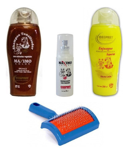 Osspret Kit for Dogs Bronze: Shampoo, Conditioner, Perfume, Carding Brush 0