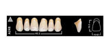 Ivoclar Vivadent Vivodent Teeth Color 1 D 220 Novacekdental 7