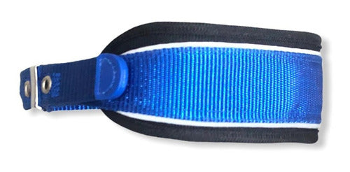 Padded Narrow Dog Collar 4