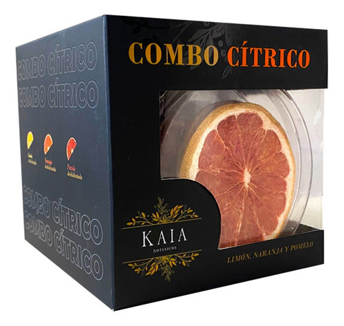 Premium Citrus Botanical Gin Tonic Kit - KAIA Cocktails Box 1
