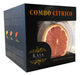 Premium Citrus Botanical Gin Tonic Kit - KAIA Cocktails Box 1