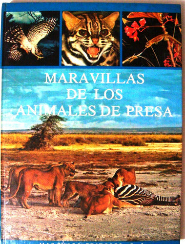 Wildlife Encounters: Animals of Prey from Africa and Asia - Animales De Presa Tigre Leon Africa Lince Serpientes Leopard