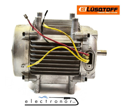 Lusqtoff Electric Motor for Pressure Washer HL 1000 Original 1