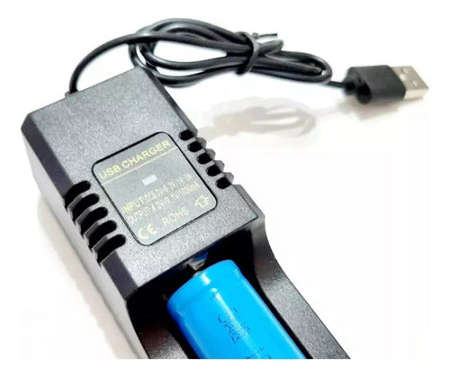 10 Cargadores Usb Pilas Batería Recargable 18650 14500 16340 2