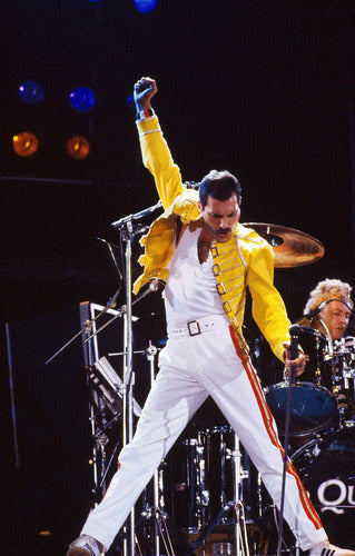 FanPosters Queen Freddie Mercury Vinyl Music Poster 90x60 Cm 0