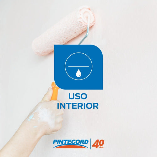 Enduido Interior Pintecord Fixcryl Secado Rapido Acrilico 1l 2