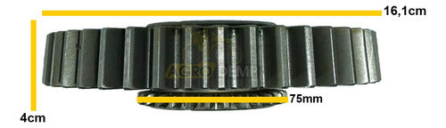 Engrenagem Cambio 2a Ré 28x43 Ford 5610 6610 7630 C5nn7n101d 3