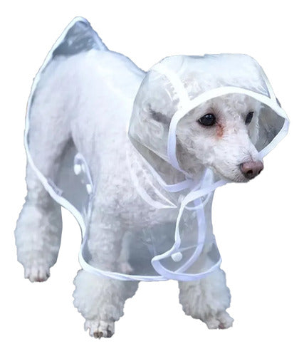 Capa De Chuva Transparente Com Capuz, Tamanho L, Para Cães D 0