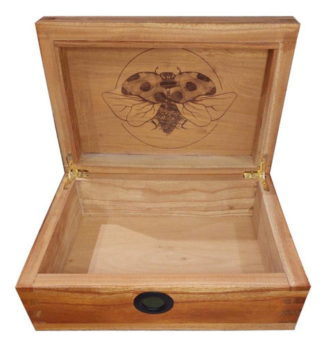 San Antonio Growing XL Humidor Cedar Curing Box 0