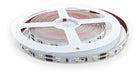 Demasled Tira Led Smd 2835 Interior Blanco Frío 6000°K 60 Leds/m 12v 0