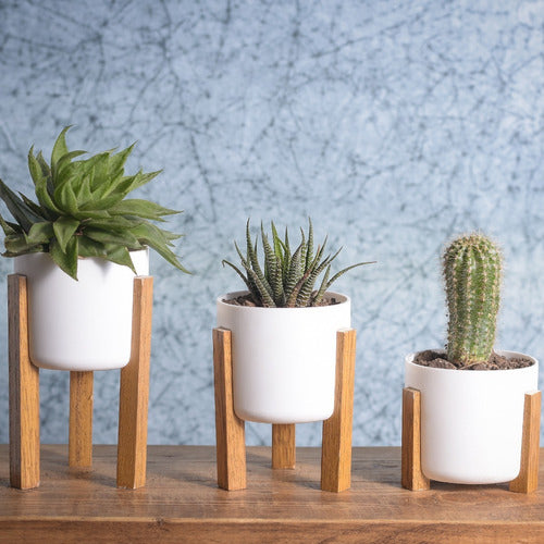 Mini Succulent Cactus Planters N8 Nordic Set of 3 27