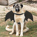 Generic Bat Wings Costume for Pets 3