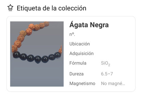 LeHaim Japa Mala (27 Beads), Rudraksha Seeds and Black Agate 3