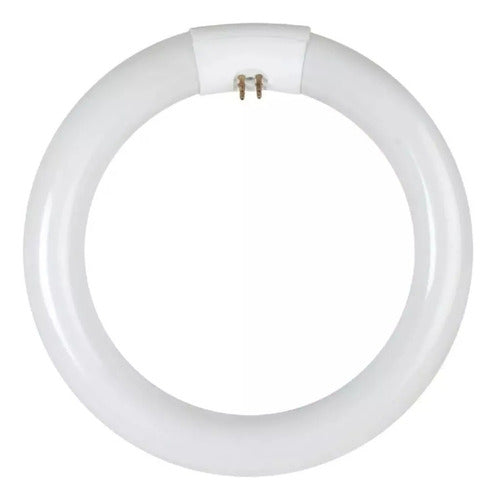 LUMENES Circular Tube 22W 1