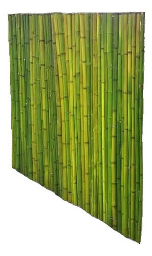 Buenos Aires Bambu Panel De Caña 1m Basico Altura 0