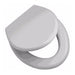 Derpla Kids Toilet Seat MDF Lacquered PVC Fittings 6