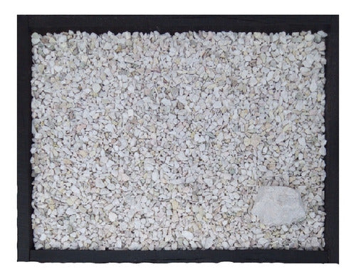 ECOPILAR Pétreos® Decorative White Stone for Garden - Brilliant Granza 20 Kg 0