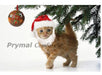 Prymal Comfort Santa Dog Cat Costume 2