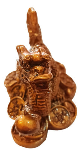 Dragon Feng Shui Figure with Prosperity Coins 2