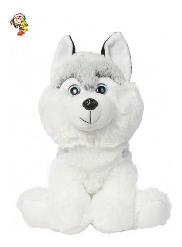 Imported TWS Siberiano Plush Dog Husky with Sparkling Eyes 1