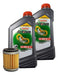 MAHLE + CASTROL Kit Service Filtro + 2L Castrol / Yamaha Xtz 250 / Ybr 250 0