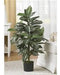 Nearly Natural Zebra Silk Plant 6542, 3 Feet, Green 2