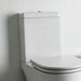 Ferrum Dual Tank 4.5L for Long Toilets - Fontana Line 1