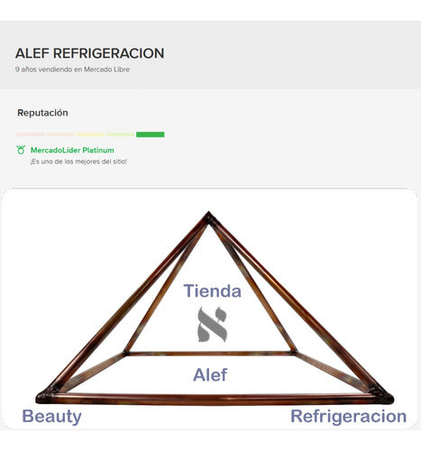 Alef 11 Paquetes De Extensiones Pelo Kanekalon Trenzas A Eleccion 6