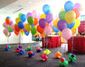 Helio Para 30 Globos Latex Garrafa Descartable  Nashville 5