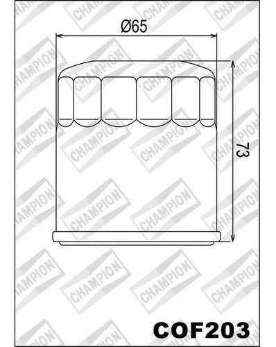 Filtro De Aceite Honda Vt 600 C,cd,cd2 Shadow Vlx 99/07 1