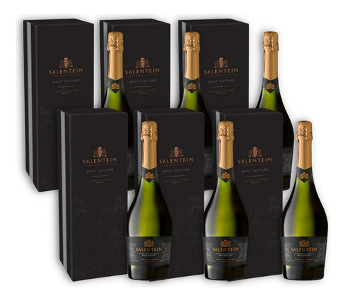 Salentein Cuvée Exceptionnelle Brut Nature Caja X6u 750ml C/ 0