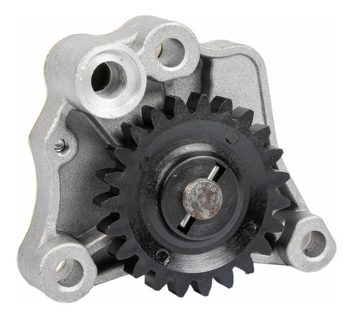 WStandard Honda Cb1 Oil Pump 0