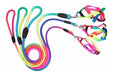 Zoomundo Multicolor Fluo Leash and Harness for Small Dogs, Cats, and Rabbits 0